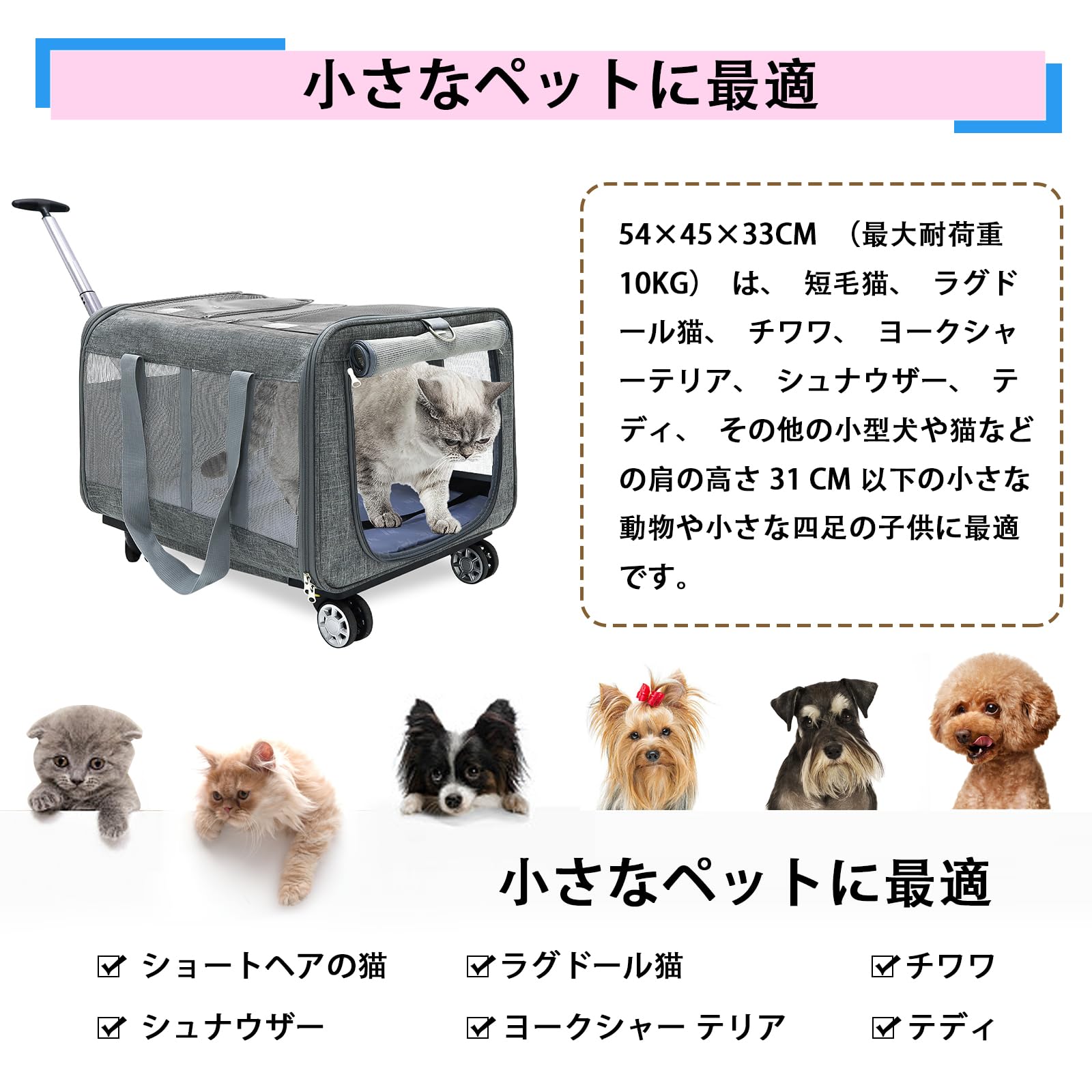 Amazon | ペットキャリー キャスター付き2匹用 猫 キャリーケース 2匹